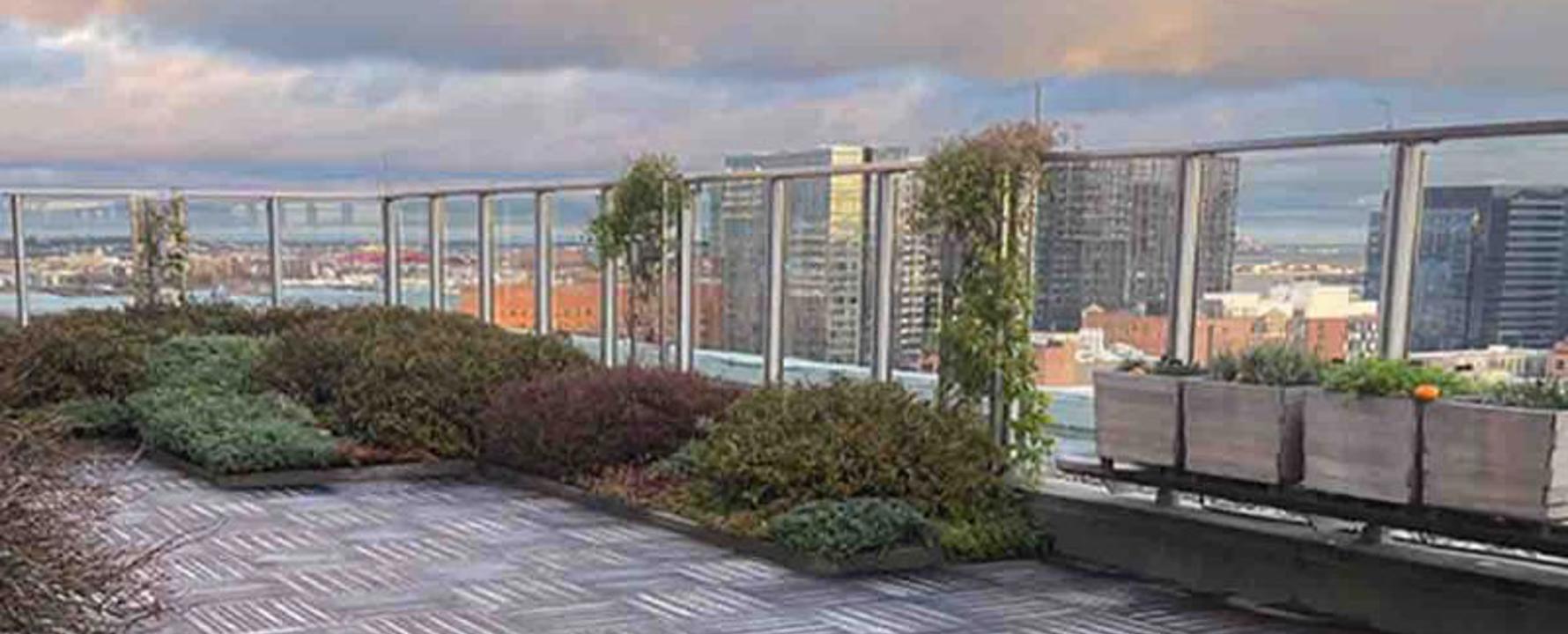 Boston Roof Deck 1 800X533