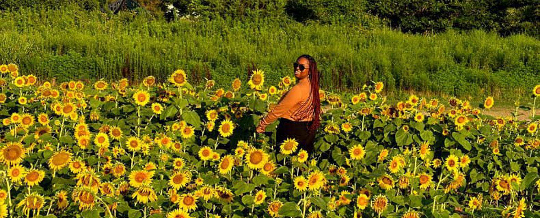 a person standing in a field of sunflowers